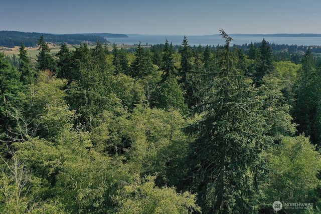 0 Lot 7 Thompson Road, Langley, WA 98260