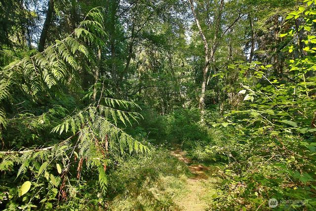 0 Lot 7 Thompson Road, Langley, WA 98260