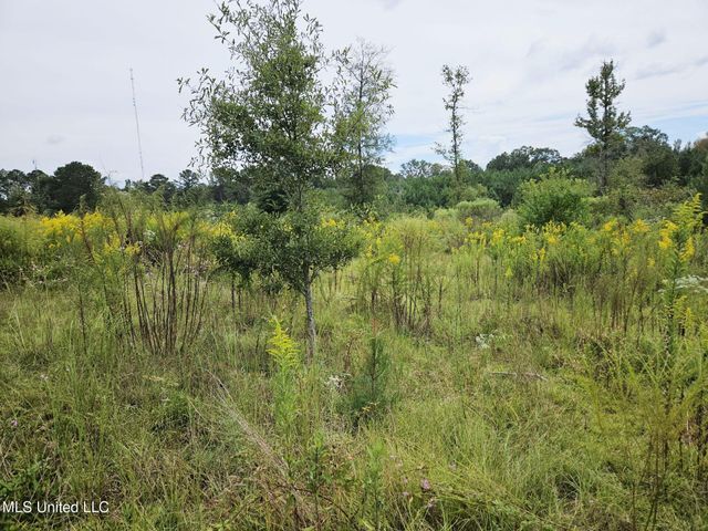 1020 Diane Circle, Summit, MS 39666