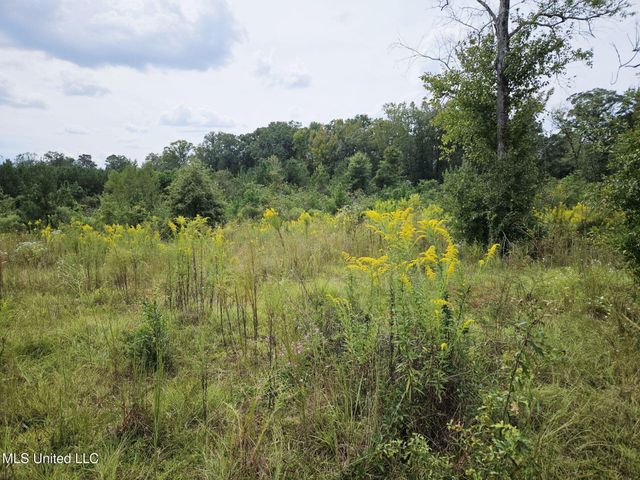 1020 Diane Circle, Summit, MS 39666