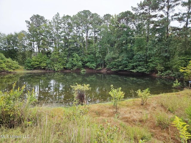 1020 Diane Circle, Summit, MS 39666