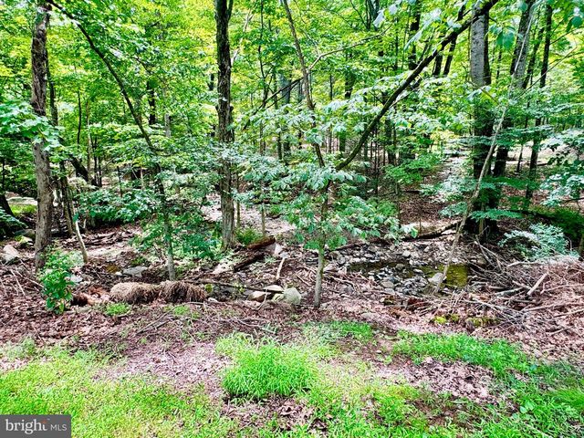 12602 GRAMLICH RD SW, Lavale, MD 21502