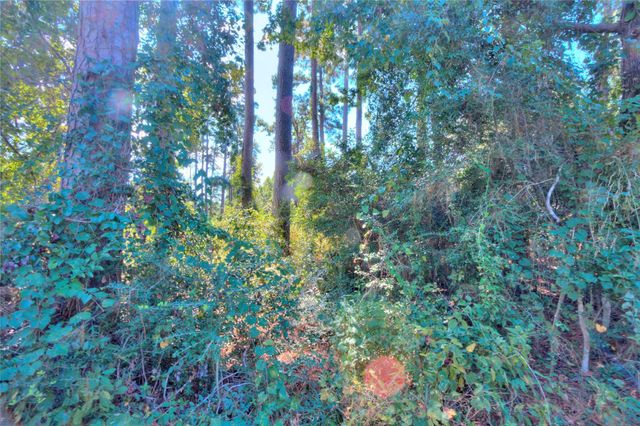 0 Magnolia Park, Onalaska, TX 77360