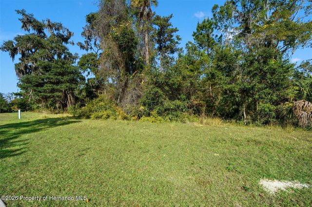 6633 SUMMIT VIEW Drive, Brooksville, FL 34601