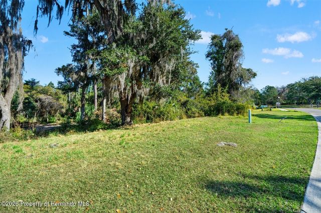 6633 SUMMIT VIEW Drive, Brooksville, FL 34601