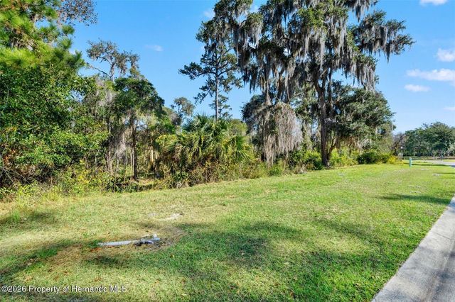 6633 SUMMIT VIEW Drive, Brooksville, FL 34601