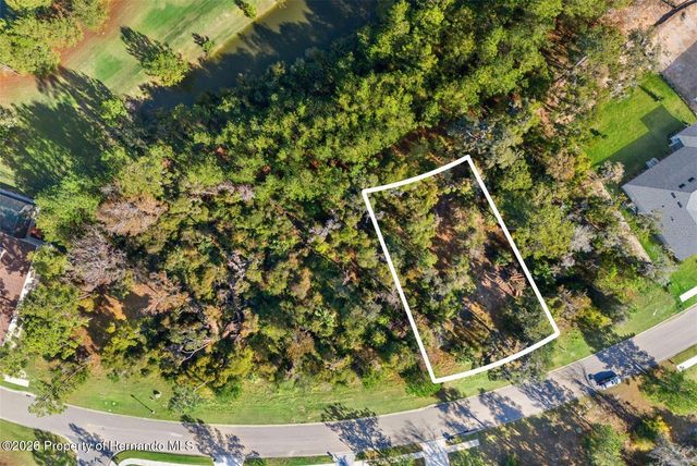 6633 SUMMIT VIEW Drive, Brooksville, FL 34601