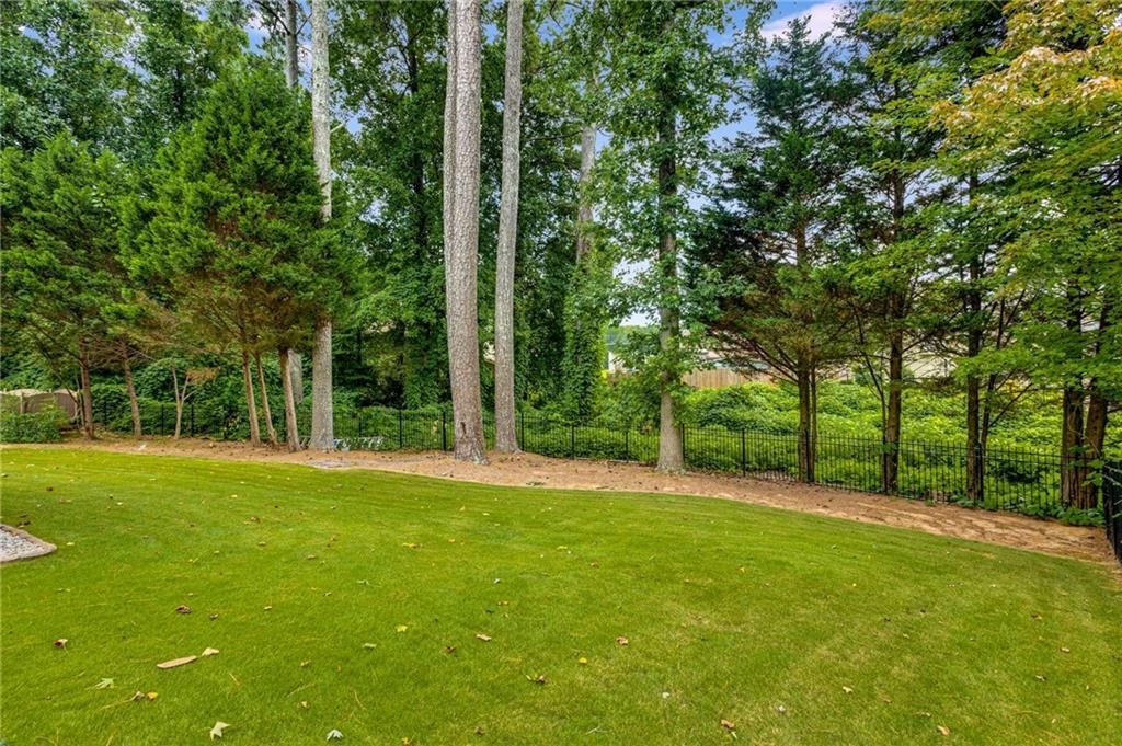 Image 41 of property listing at 2818 Willowstone Drive, Duluth, GA 30096