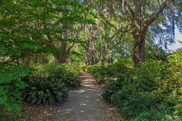 21 Cleveland Street, Charleston, SC 29403