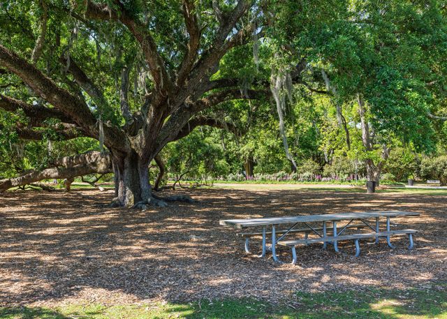 21 Cleveland Street, Charleston, SC 29403