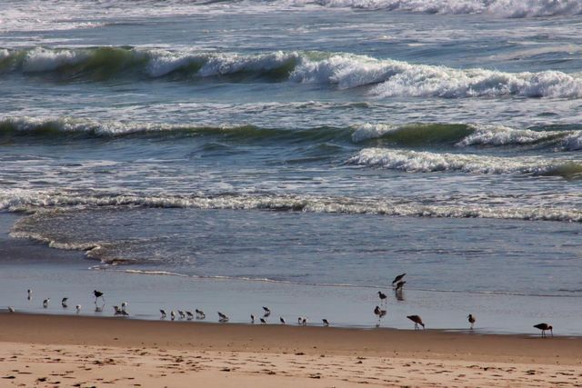 53 Pelican Point, Watsonville, CA 95076