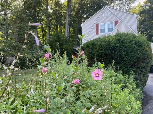 8 Forest Rd, Mount Olive Twp., NJ 07828