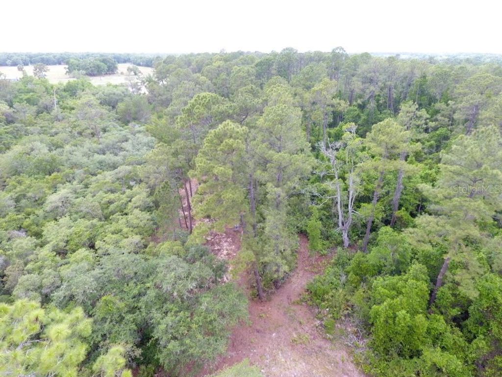 Image 1 of property listing at 161 SNAKE HILL ROAD, Crescent City, FL 32112