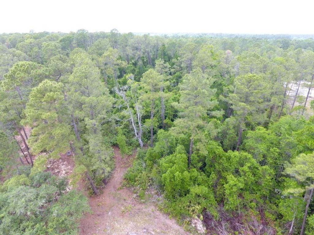 Image 2 of property listing at 161 SNAKE HILL ROAD, Crescent City, FL 32112