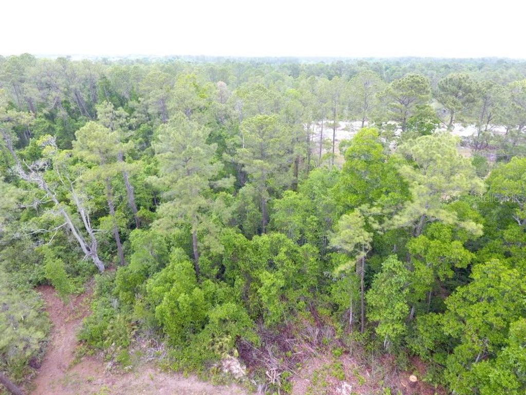 Image 3 of property listing at 161 SNAKE HILL ROAD, Crescent City, FL 32112