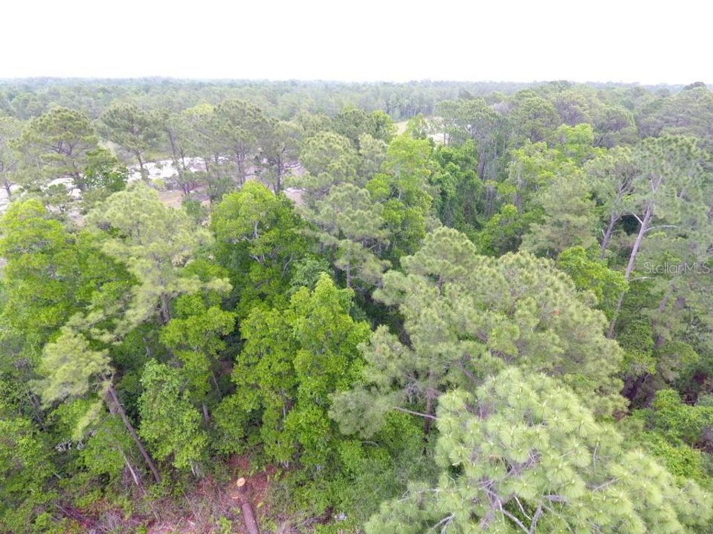 Image 4 of property listing at 161 SNAKE HILL ROAD, Crescent City, FL 32112