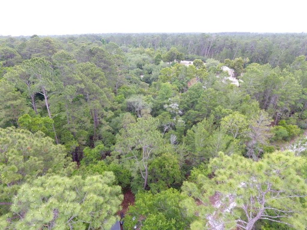 Image 5 of property listing at 161 SNAKE HILL ROAD, Crescent City, FL 32112