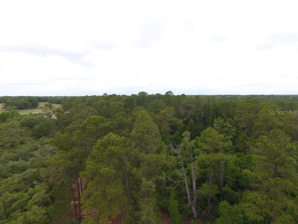 Image 6 of property listing at 161 SNAKE HILL ROAD, Crescent City, FL 32112