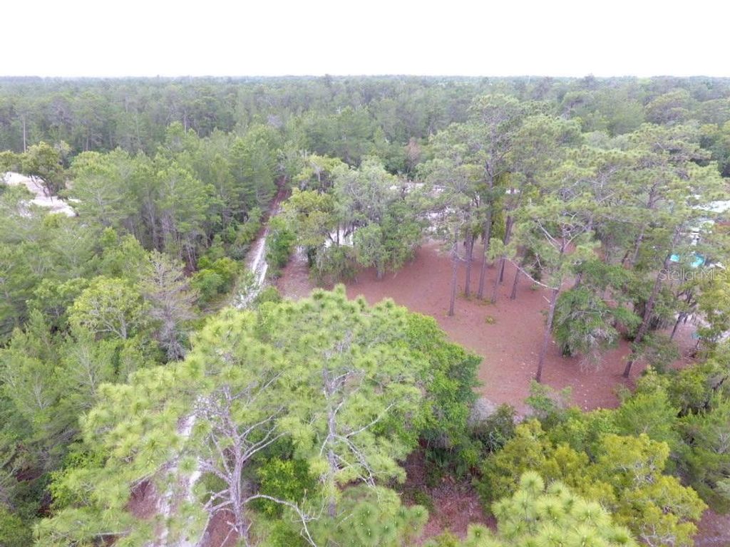 Image 7 of property listing at 161 SNAKE HILL ROAD, Crescent City, FL 32112