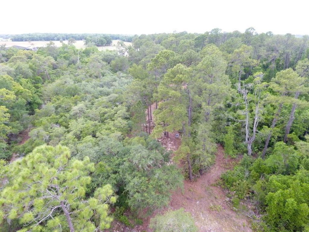 Image 8 of property listing at 161 SNAKE HILL ROAD, Crescent City, FL 32112