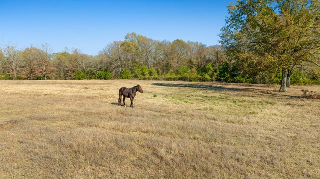 6144 Farm Road 197, Arthur City, TX 75411