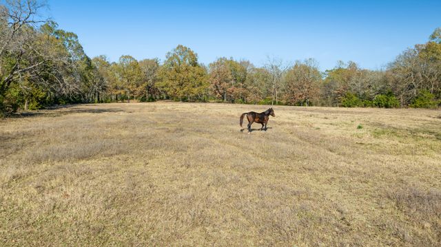 6144 Farm Road 197, Arthur City, TX 75411