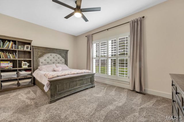 339 Lohman Hollow, Warrenton, MO 63383