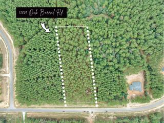 12801 Oak Barrel Road, Willis, TX 77378