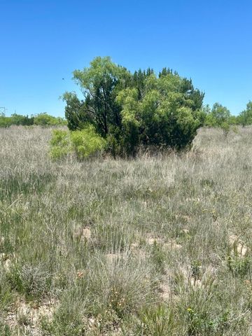 710 CANYON Parkway, Canyon, TX 79015