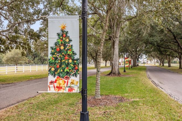 2243 EVERGREEN CIRCLE 1713, Zellwood, FL 32798