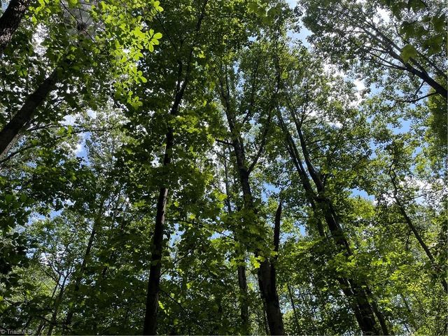 0 Sawyer Road, Hays, NC 28635
