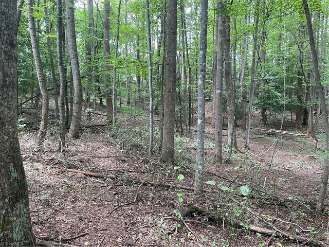 0 Sawyer Road, Hays, NC 28635