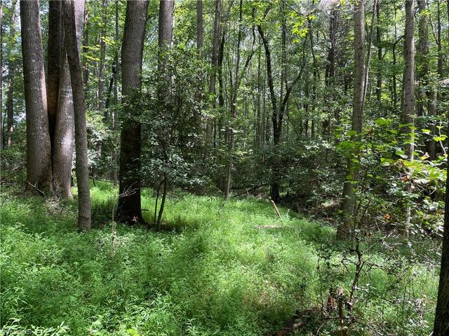 0 Sawyer Road, Hays, NC 28635