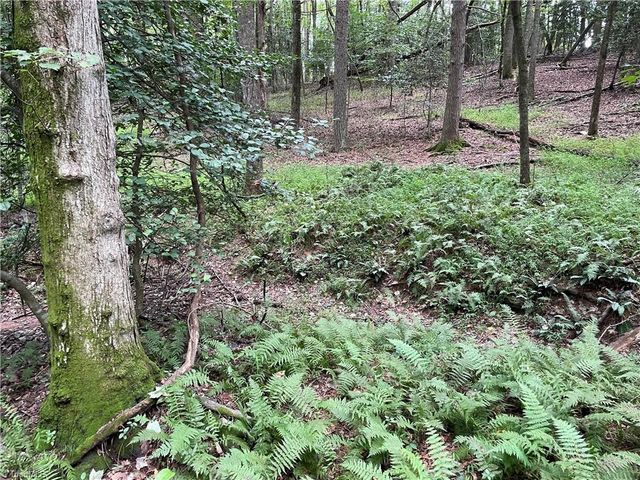 0 Sawyer Road, Hays, NC 28635