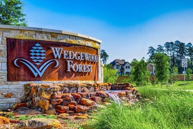 934 Golden Willow Lane, Conroe, TX 77304