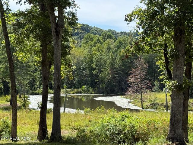 266 Laurel Ridge Lane, Pikeville, TN 37367