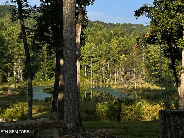 266 Laurel Ridge Lane, Pikeville, TN 37367