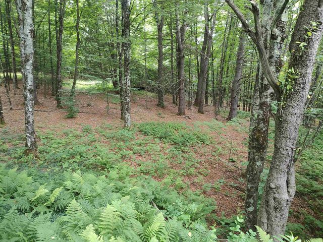 801 Harlow Hill, Randolph, VT 05060