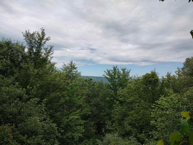 801 Harlow Hill, Randolph, VT 05060