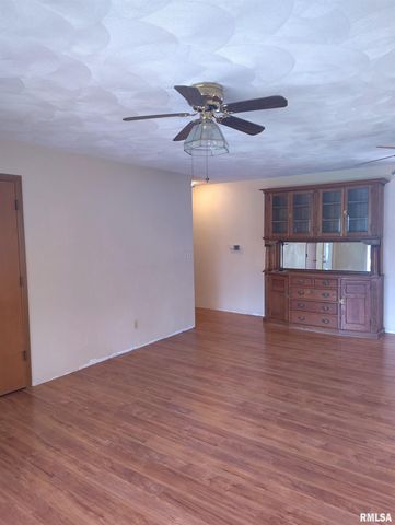 235 N SMITH Street, Prairie City, IL 61470