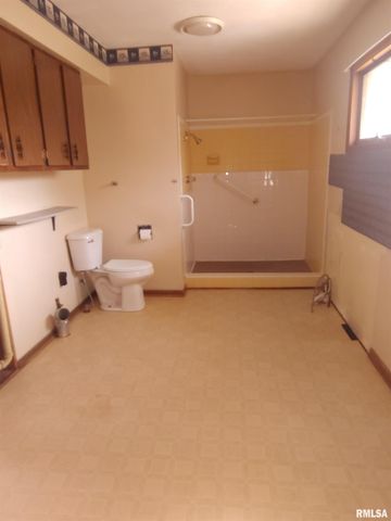 235 N SMITH Street, Prairie City, IL 61470