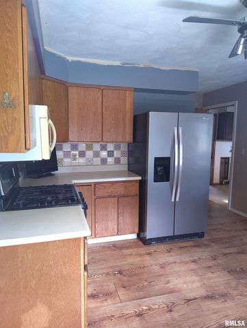 235 N SMITH Street, Prairie City, IL 61470