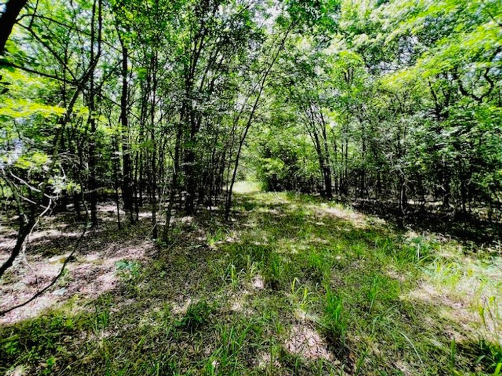 0 Fm-2297, Sulphur Springs, TX 75482