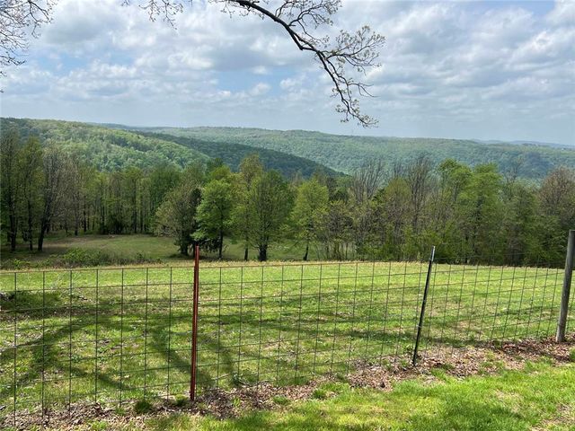 2257 NC 8800, Jasper, AR 72641