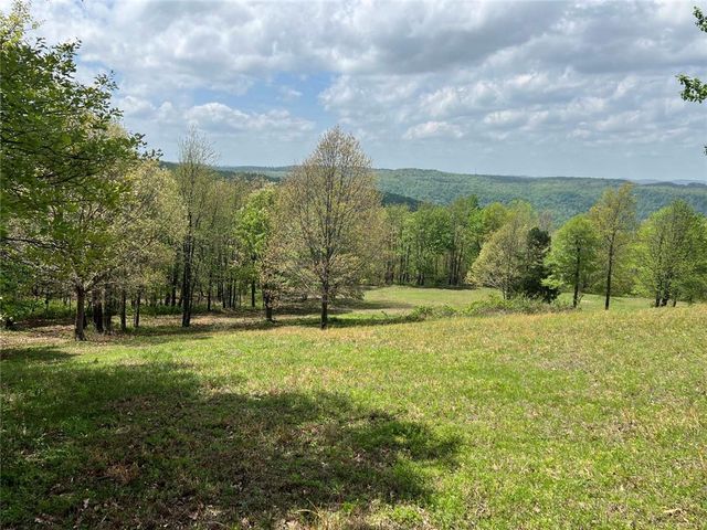 2257 NC 8800, Jasper, AR 72641