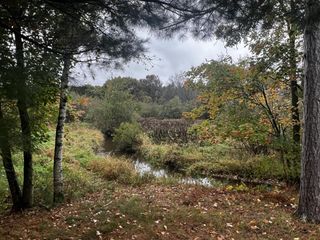 W2212 Pine ROAD, Neshkoro, WI 54960