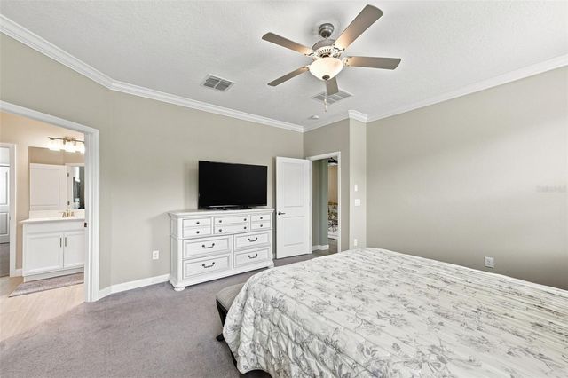 5231 WINDY GROVE DRIVE, Wimauma, FL 33598