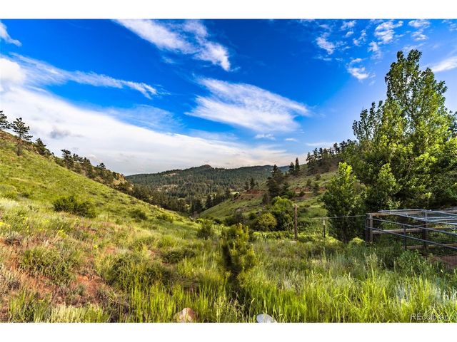 180 Deep Cut Rd, Livermore, CO 80536