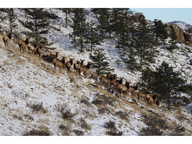 180 Deep Cut Rd, Livermore, CO 80536