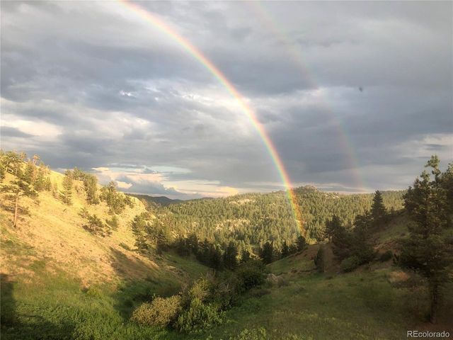 180 Deep Cut Rd, Livermore, CO 80536